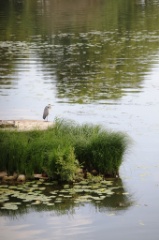 Et Oui 038 * 5616 x 3744 * (8.38MB)